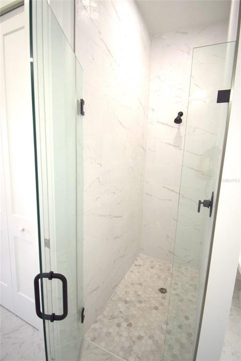 Principal bathroom - walk-in shower