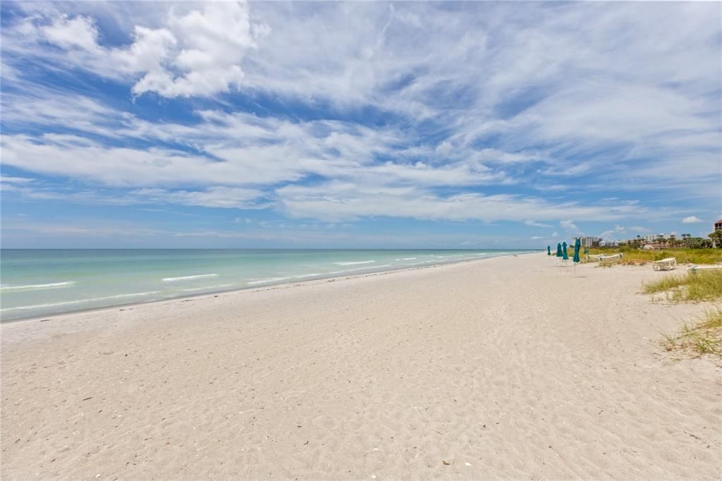 Miles of sandy coastline along the Gulf of Mexico are just outside your dorr!