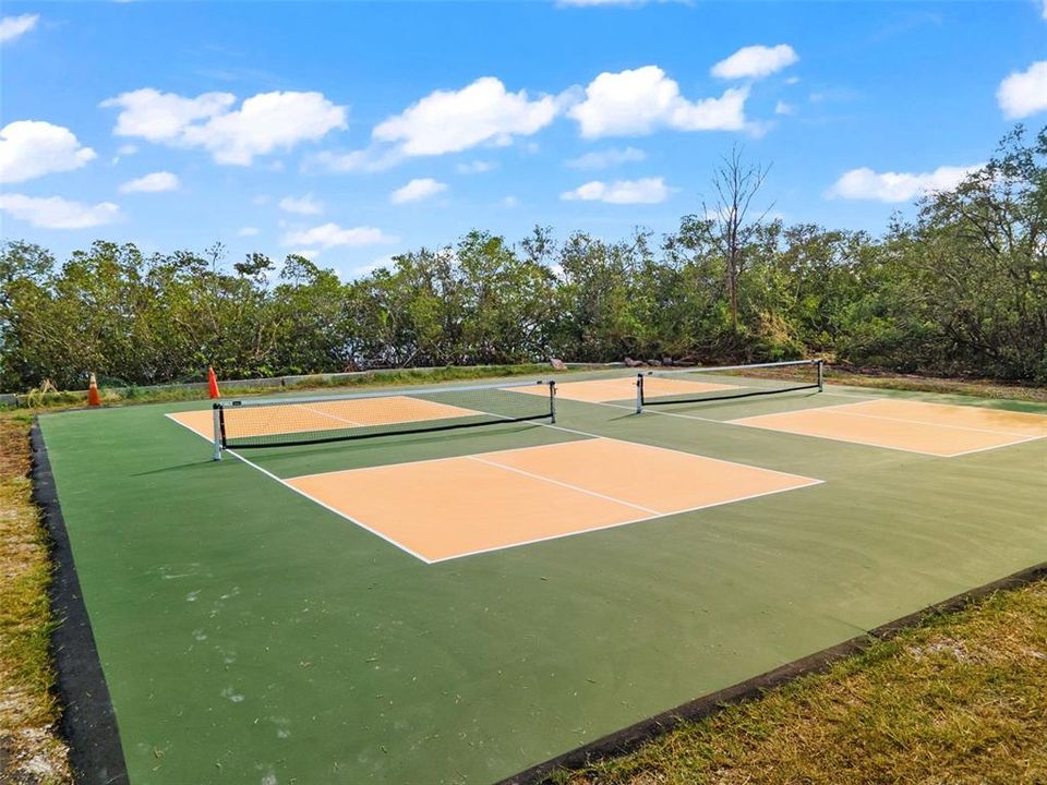 Community Pickleball