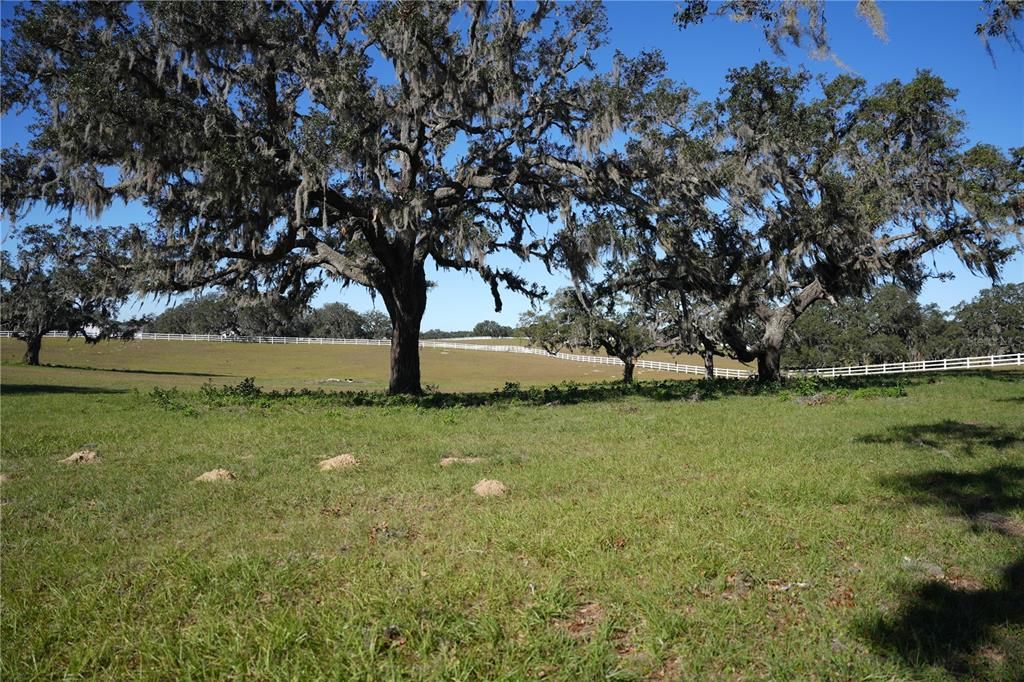 For Sale: $350,000 (10.00 acres)