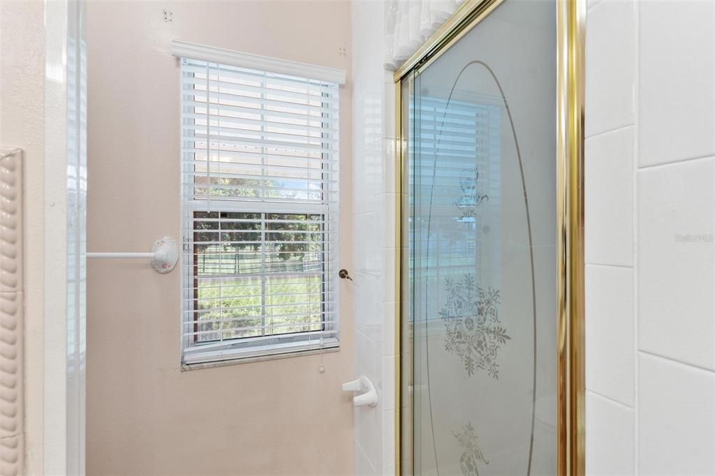 Guest Bathroom with Walk-in Shower