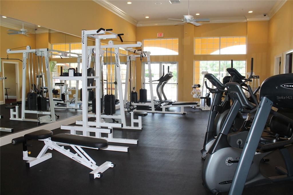 Gym Equipment