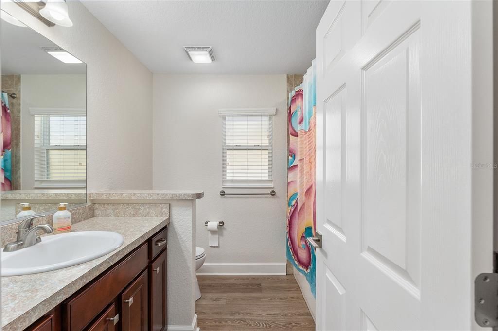 Guest Bath Tub/Shower Combo