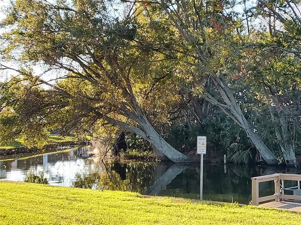 Lake Marianna area near boat dock