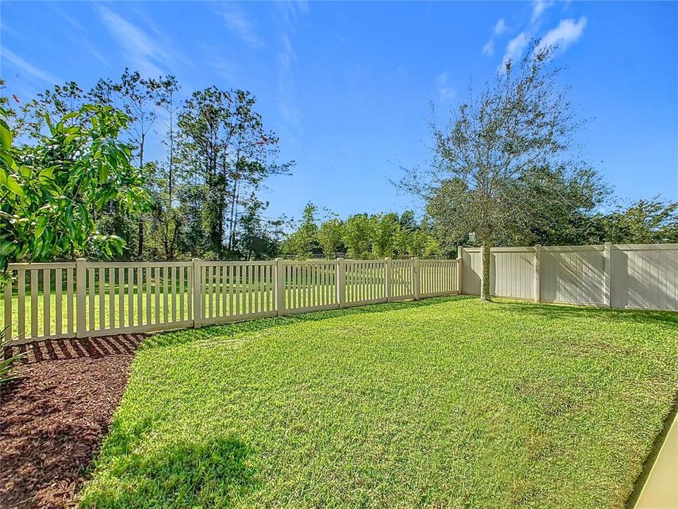 Fenced in yard