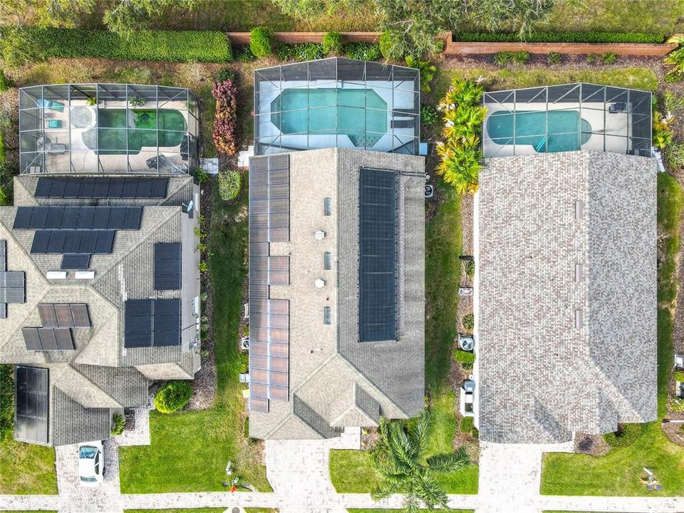 This aerial view shows the great size of the pool compared to the neighbors.