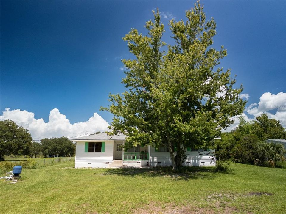 Large front yard