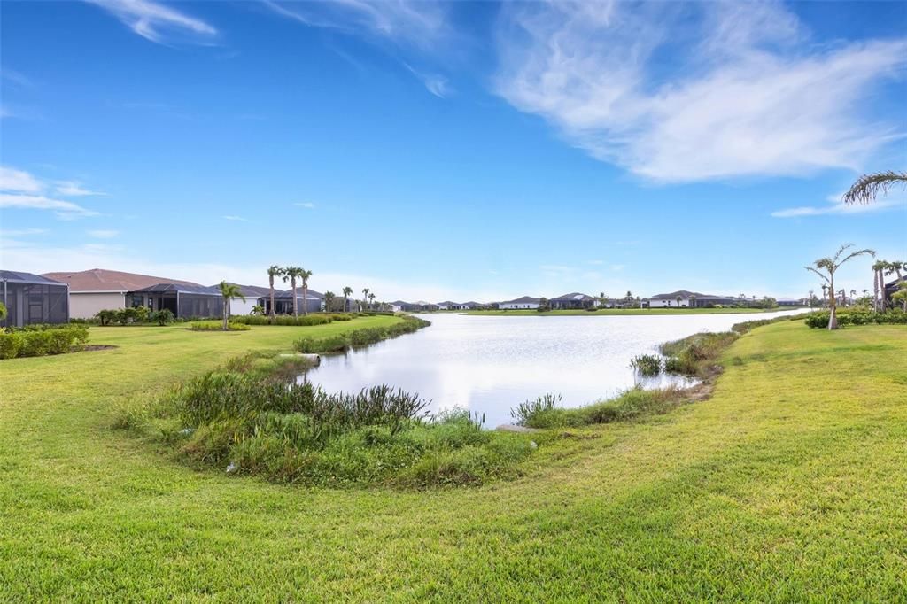 Lovely pond views