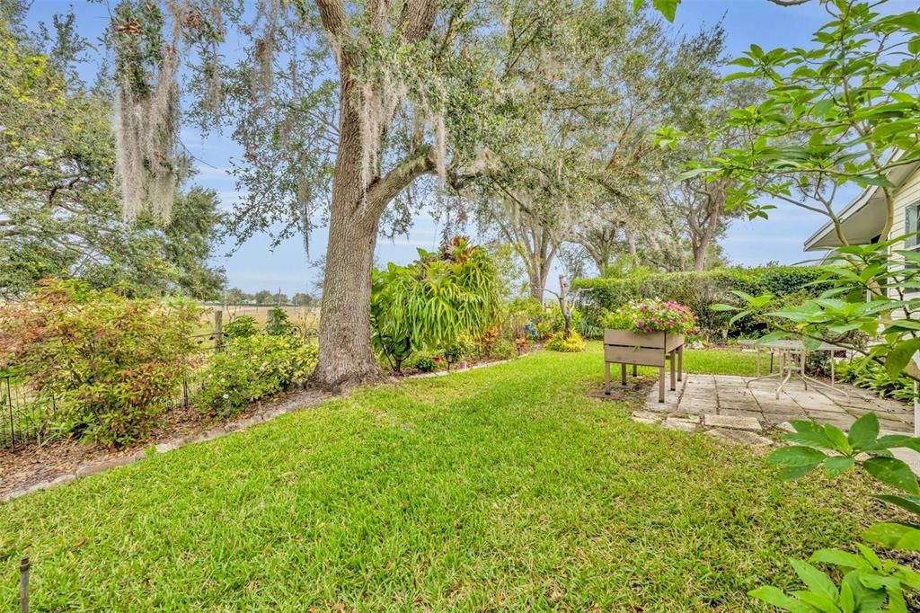 Rear of home with open fields behind from where horses and cows come to visit