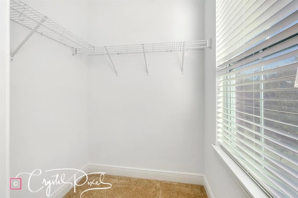 Walk in closet with window