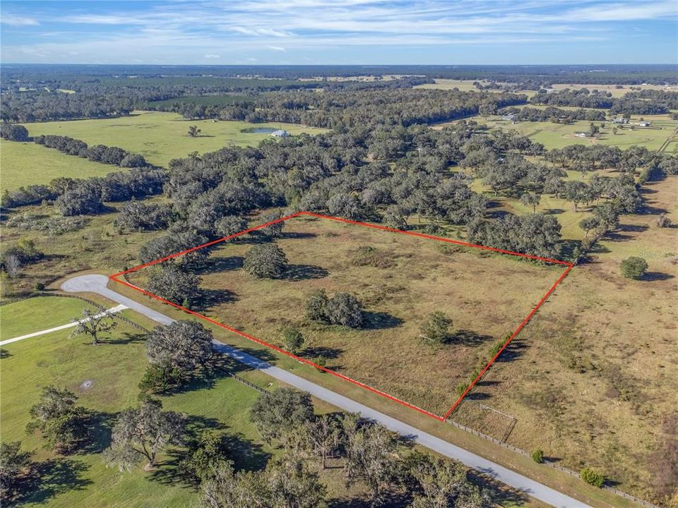 10+ acres with mature trees and lush pasture.