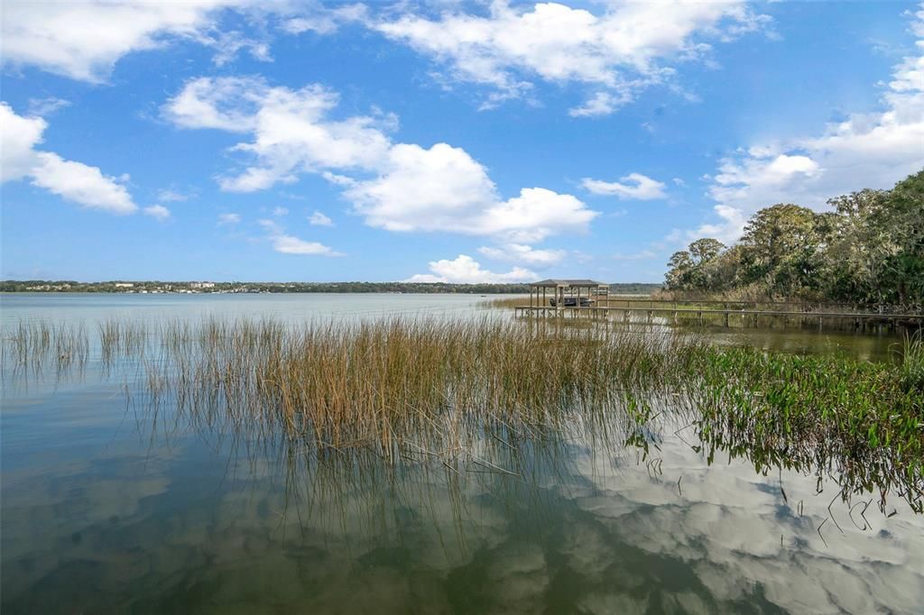 Back part of property on the lake