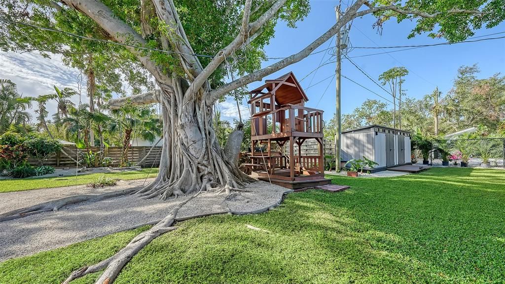 treehouse and storage units