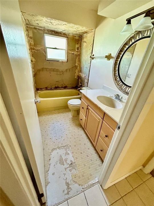 Guest bathroom