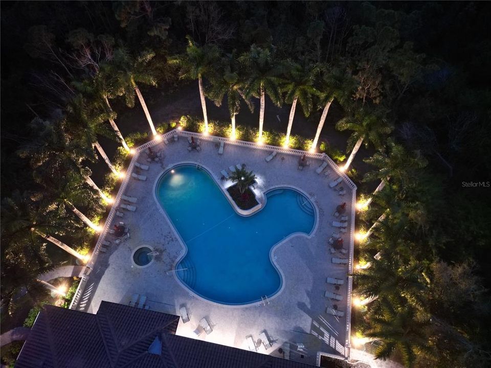 Resort pool