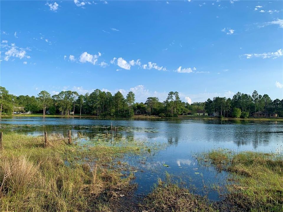 Fish at Lake Marion within the community