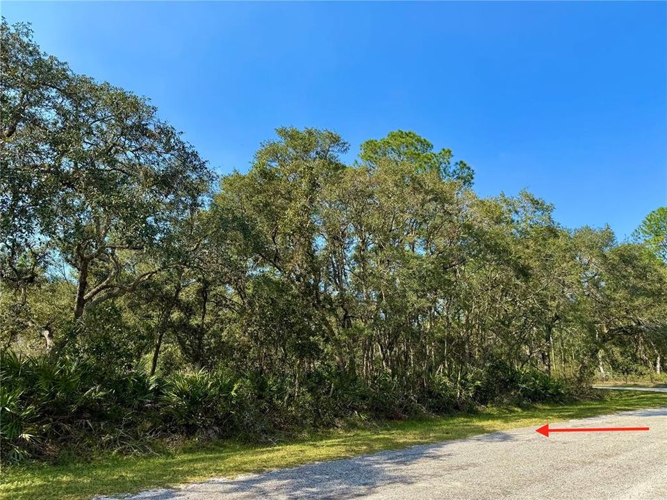 Corner acre parcel