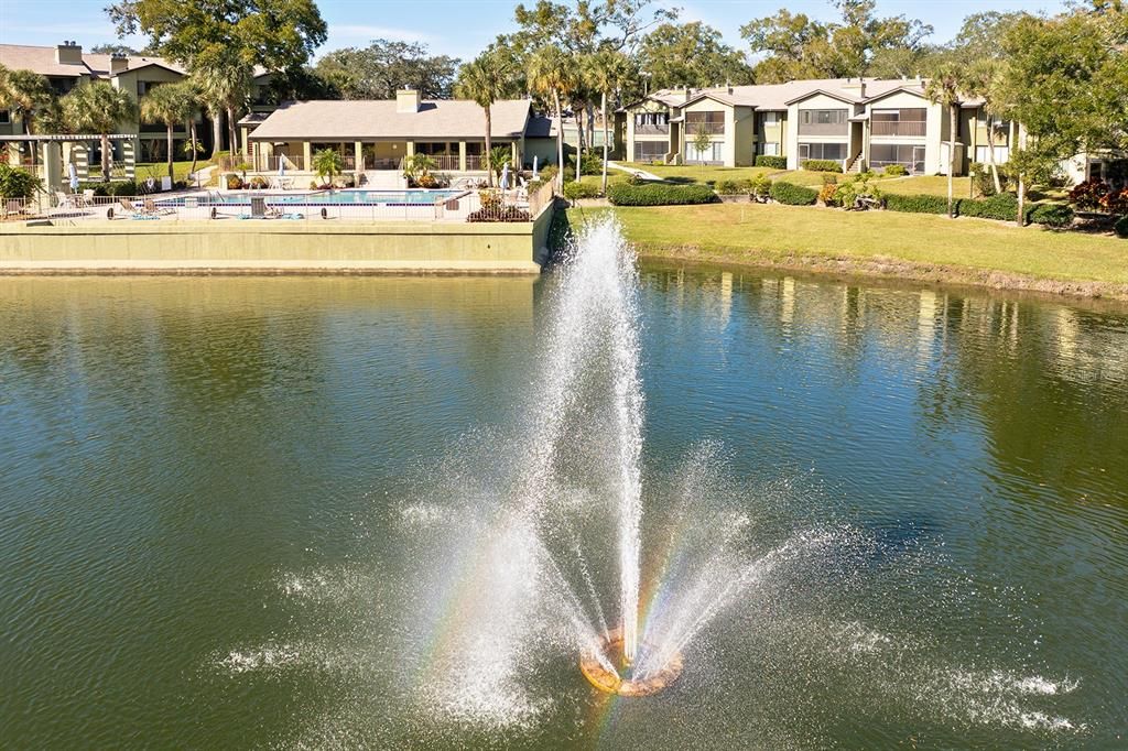 beautiful fountain view