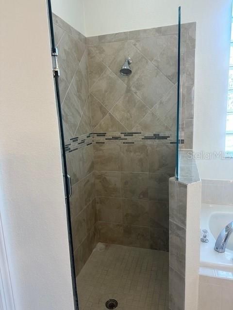 Master Bath Shower