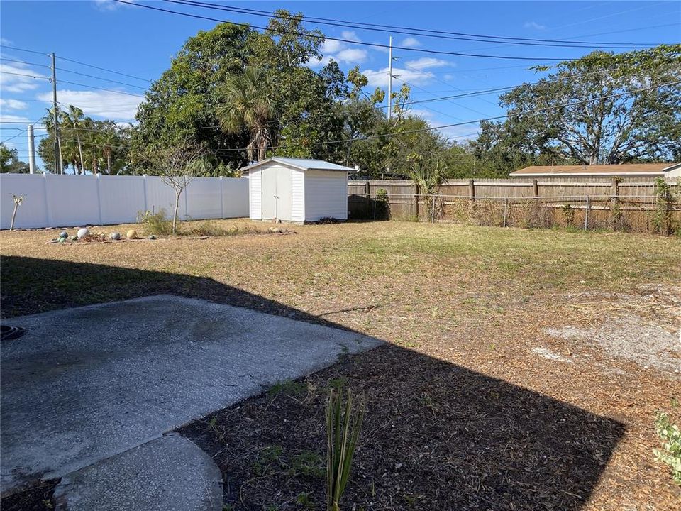 Shed in the back yard