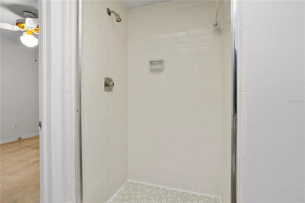 Primary bathroom shower