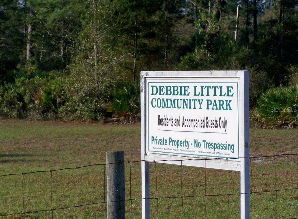 Community Park