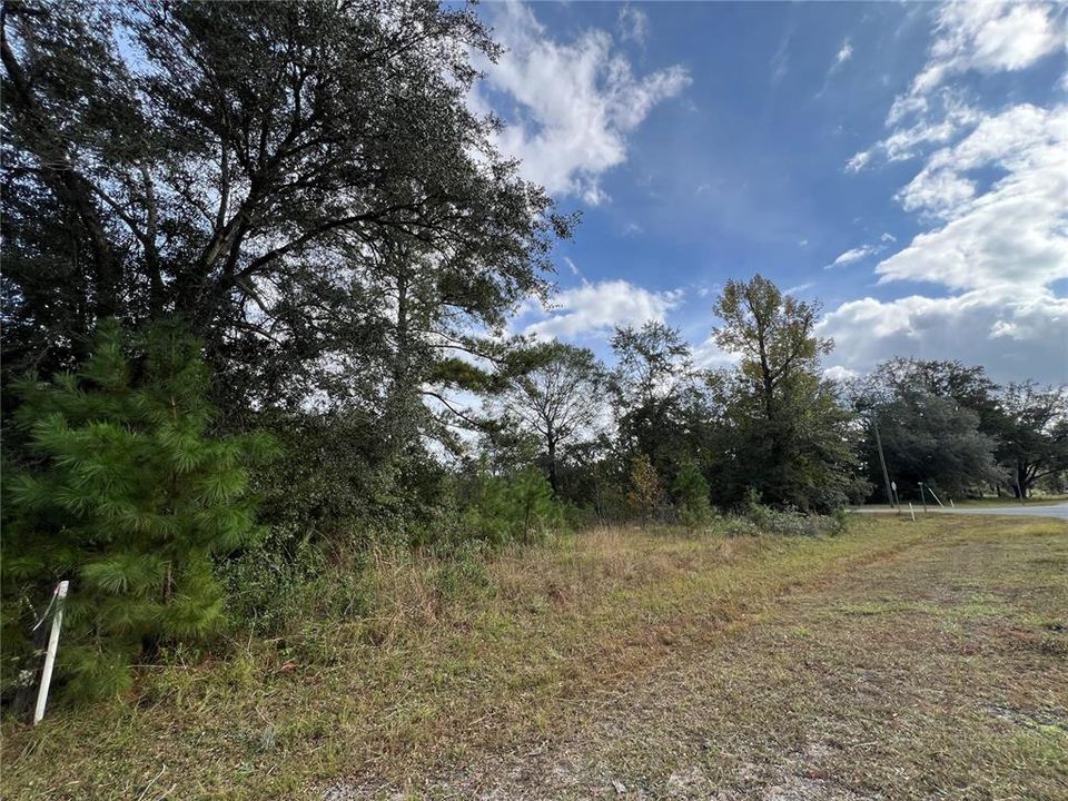 En Venta: $35,000 (1.10 acres)