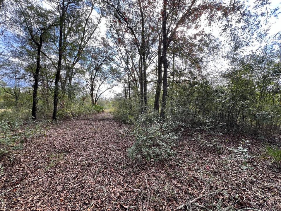 En Venta: $35,000 (1.10 acres)