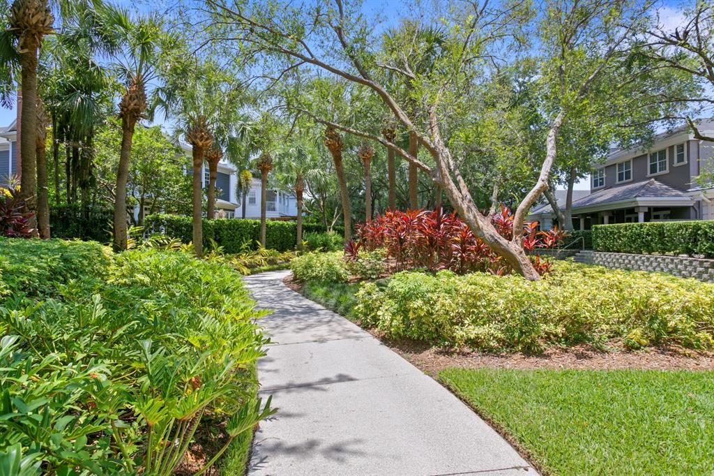 Walking trail through the private community of Harbour Island connects to the Playground and also to the Island's waterwalk on the West Side of the Island