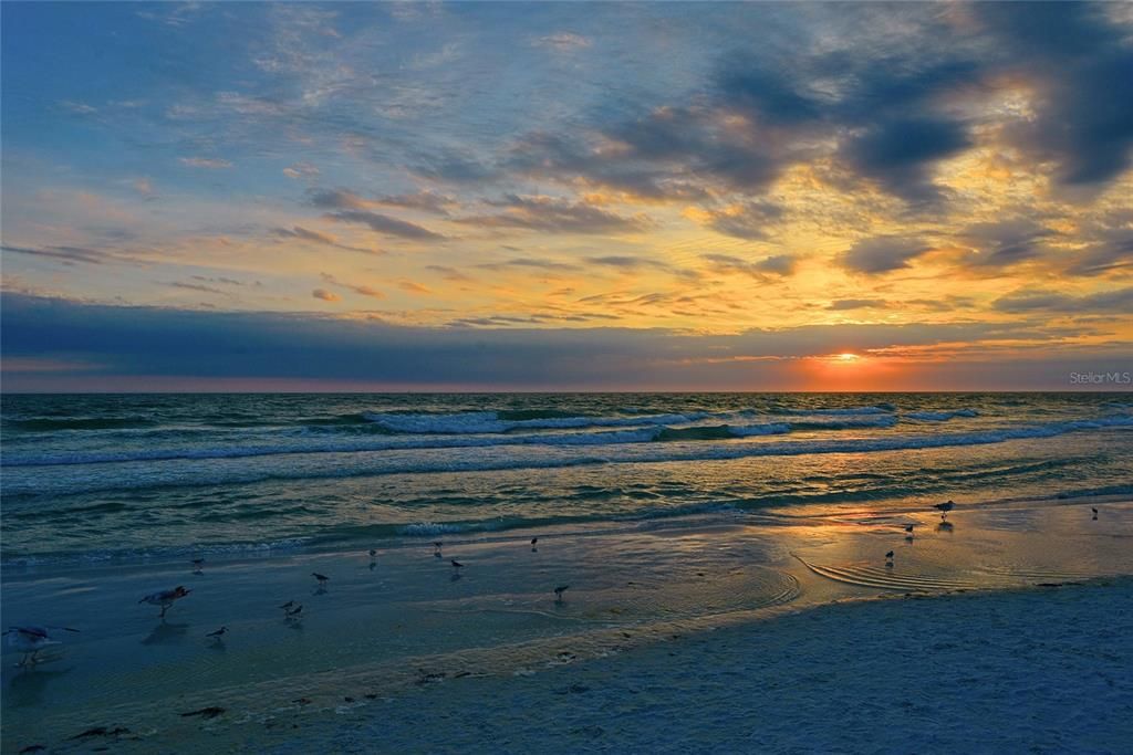 Sunset on Venice Beach