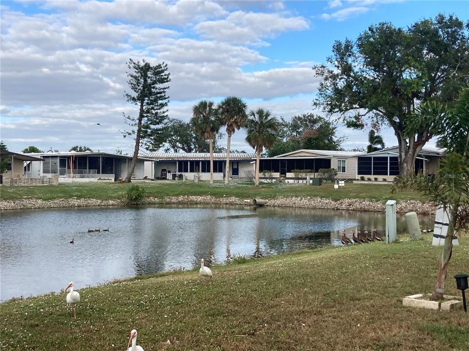 Gorgeous Lake Views from the rear