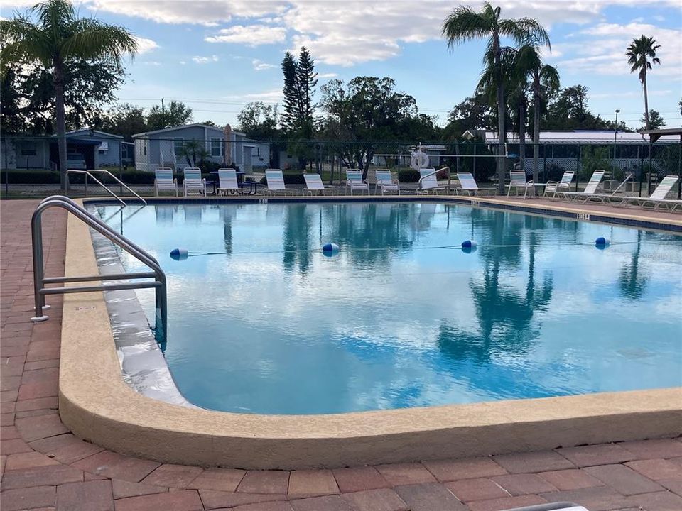 Large pool to meet new friends