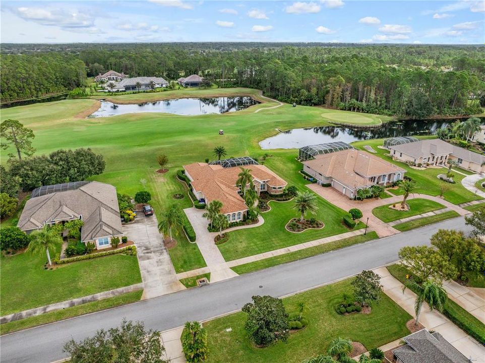 Aerial View of Neighborhood