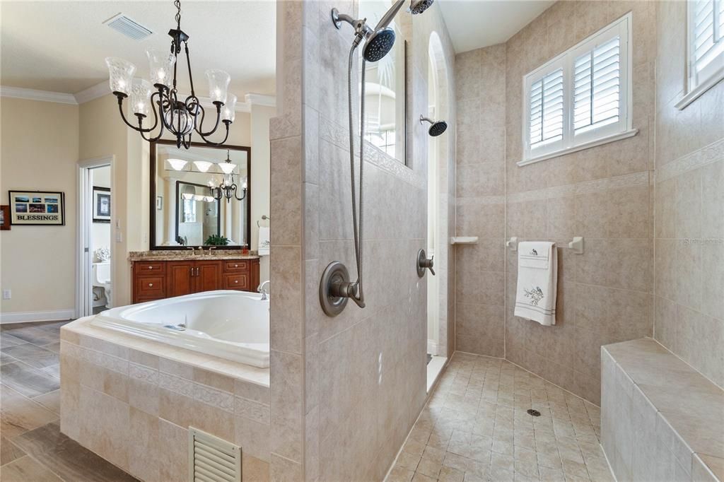 Large Tile to Ceiling Walk-in Shower w/Bench & Windows