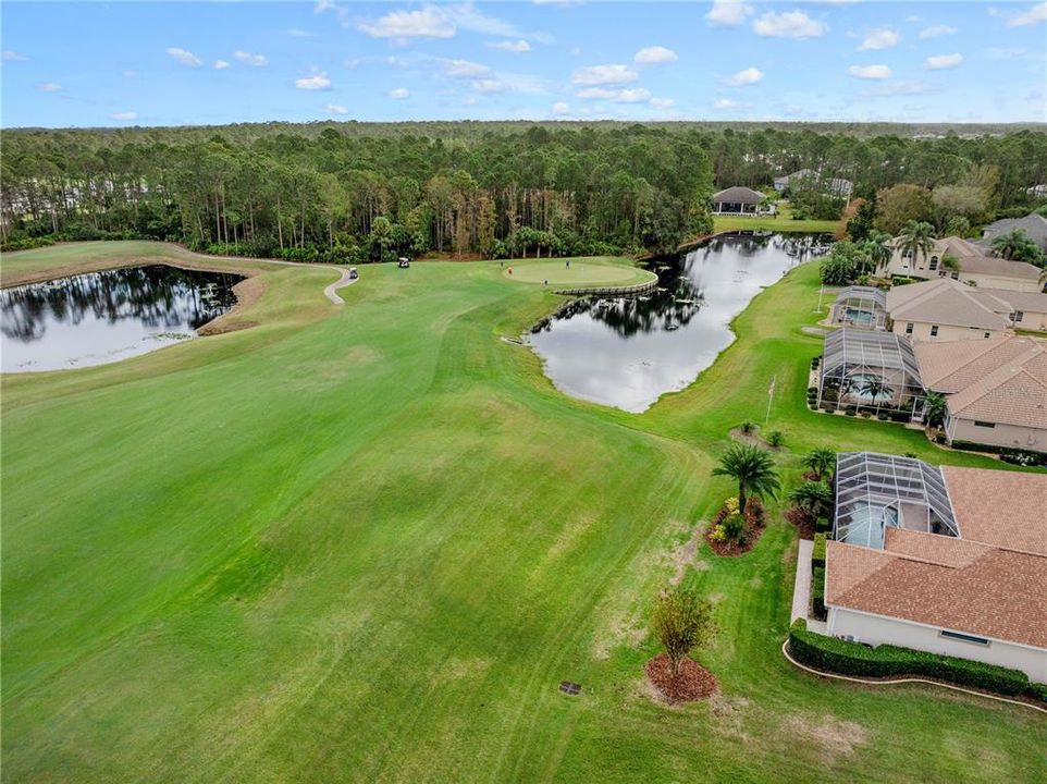 Aerial View of Backyard & Golf Course