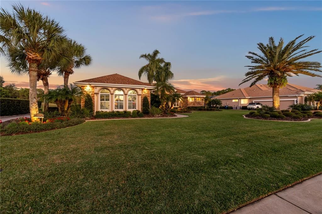 Palm Trees all over Property