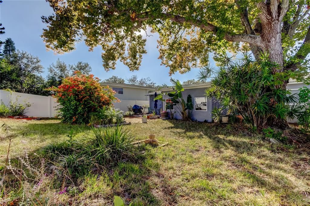 Backyard-Fully Fenced