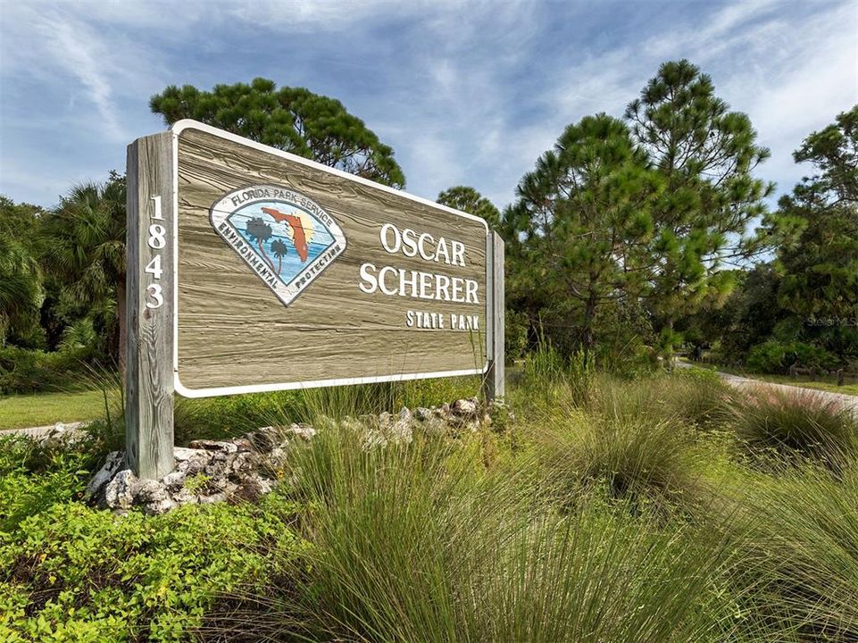 Oscar Scherer park has many options from camping, to hiking and kayaking