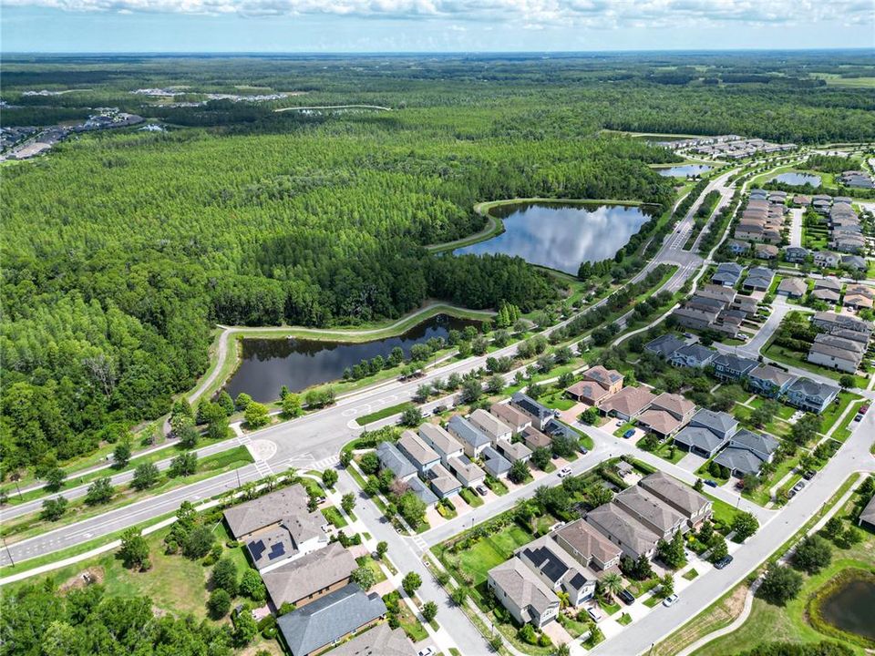 Aerial / Ponds