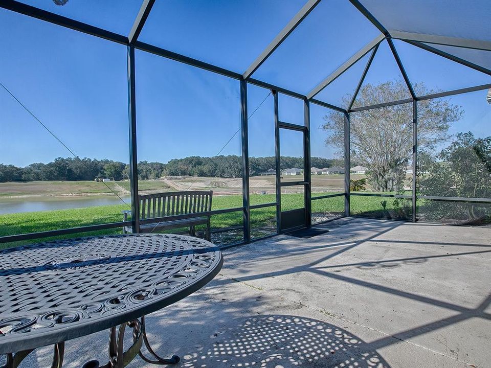 Patio with Birdcage