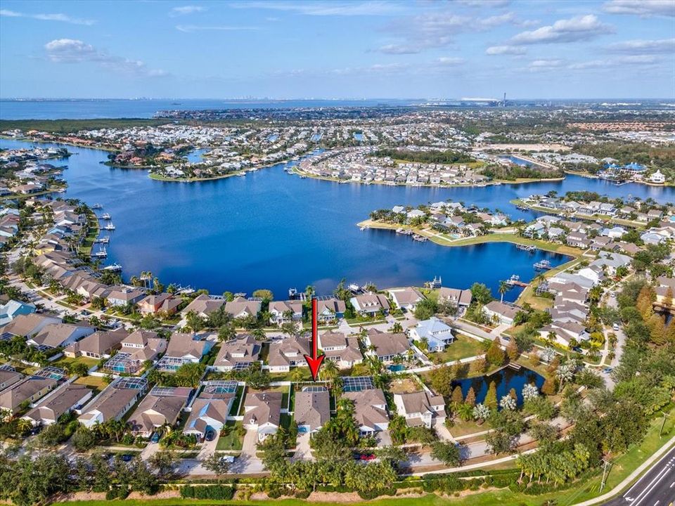 This coastal community is one of the rarest near the Tampa metro area. It's resort style and lagoon access allow for the most active individuals to fully embrace the coastal lifestyle.