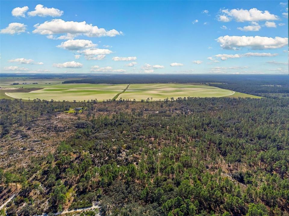 For Sale: $382,945 (40.31 acres)