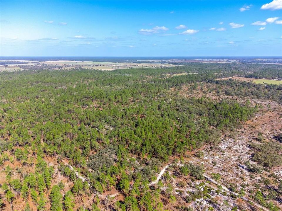 For Sale: $382,945 (40.31 acres)