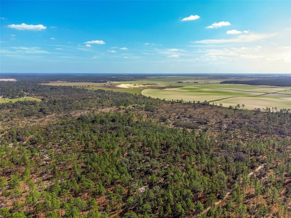 For Sale: $382,945 (40.31 acres)