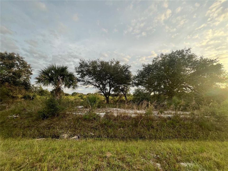 En Venta: $21,900 (1.25 acres)