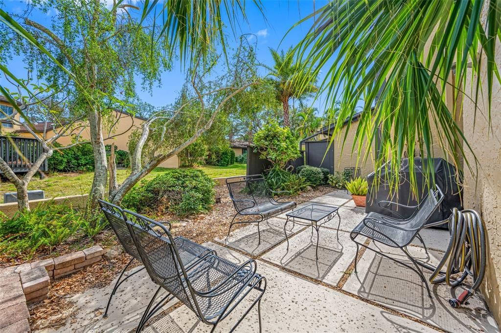 Backyard Patio