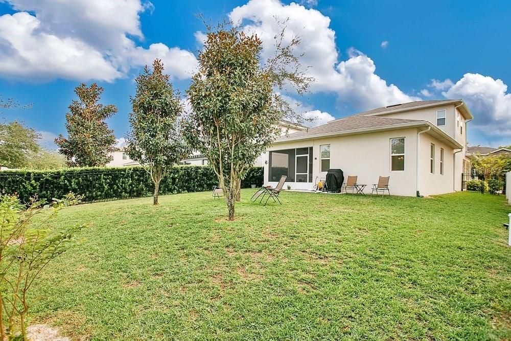 Oversize fenced back yard