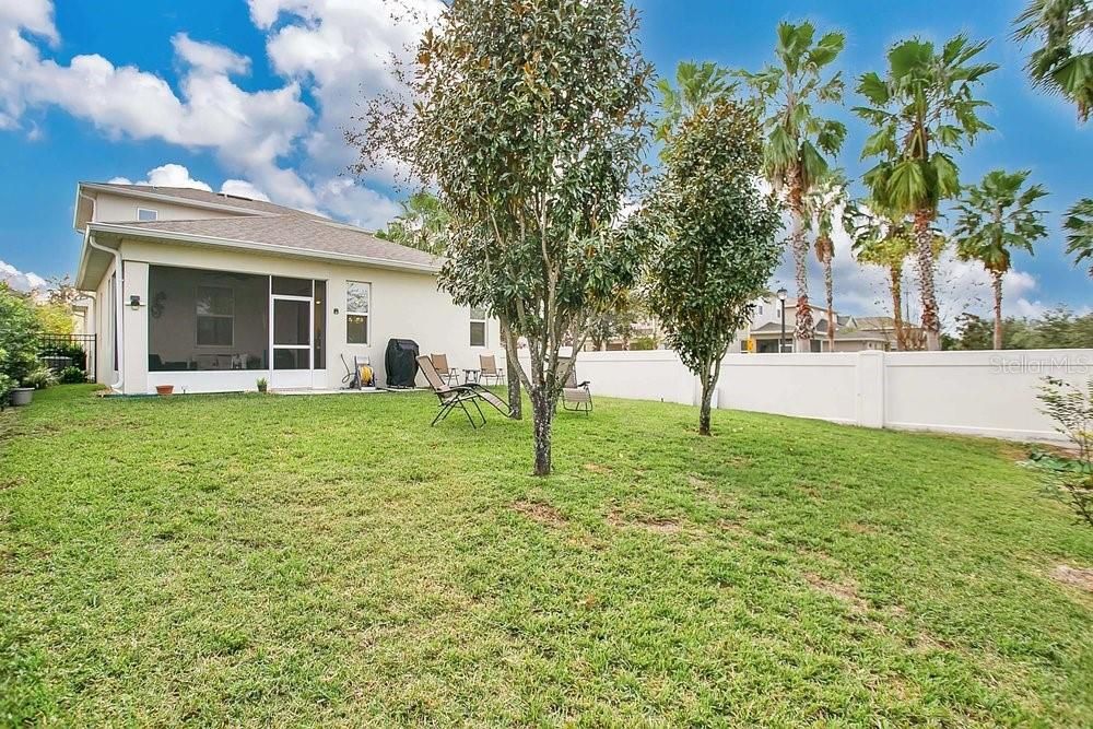 Oversize fenced back yard