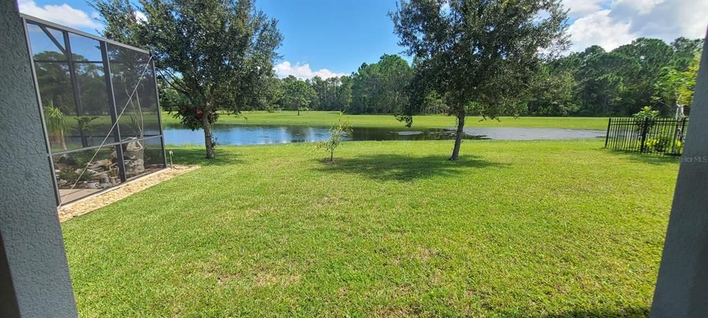 Backyard and Pond