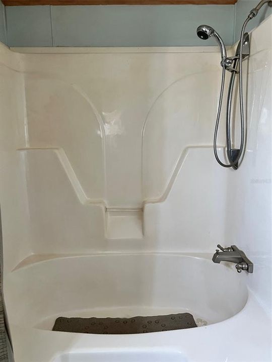 Master Shower/Tub